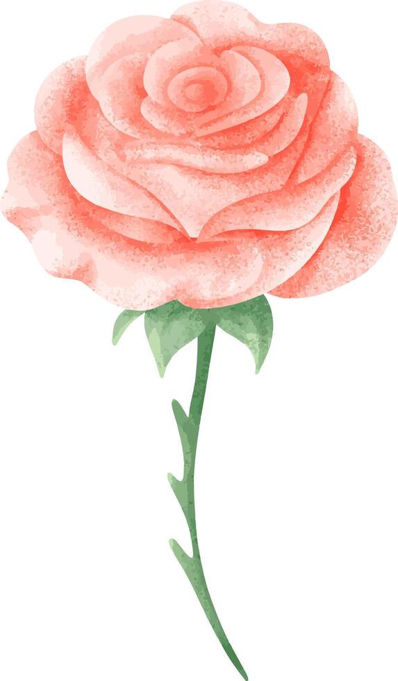Cute Pink Rose for Design vector
