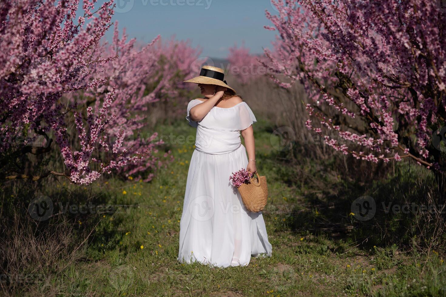 Woman blooming peach orchard. Against the backdrop of a picturesque peach orchard, a woman in a long white dress and hat enjoys a peaceful walk in the park, surrounded by the beauty of nature. photo