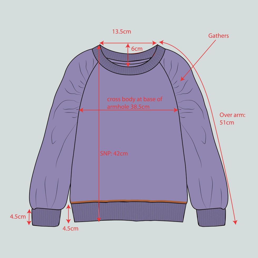 The measurements for a purple sweater vector
