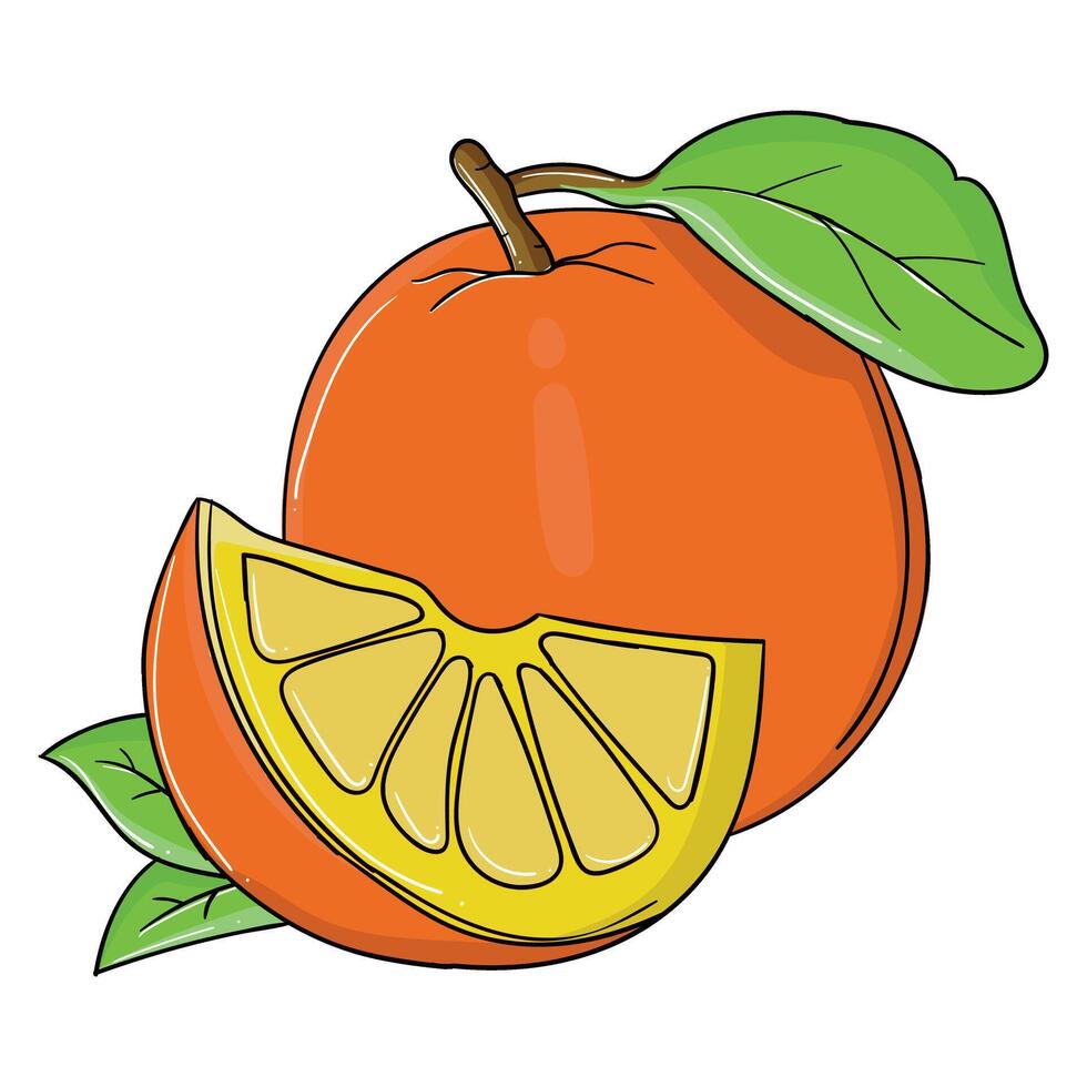 Hand Drawing style of orange . It is suitable for foods icon, sign or symbol. vector