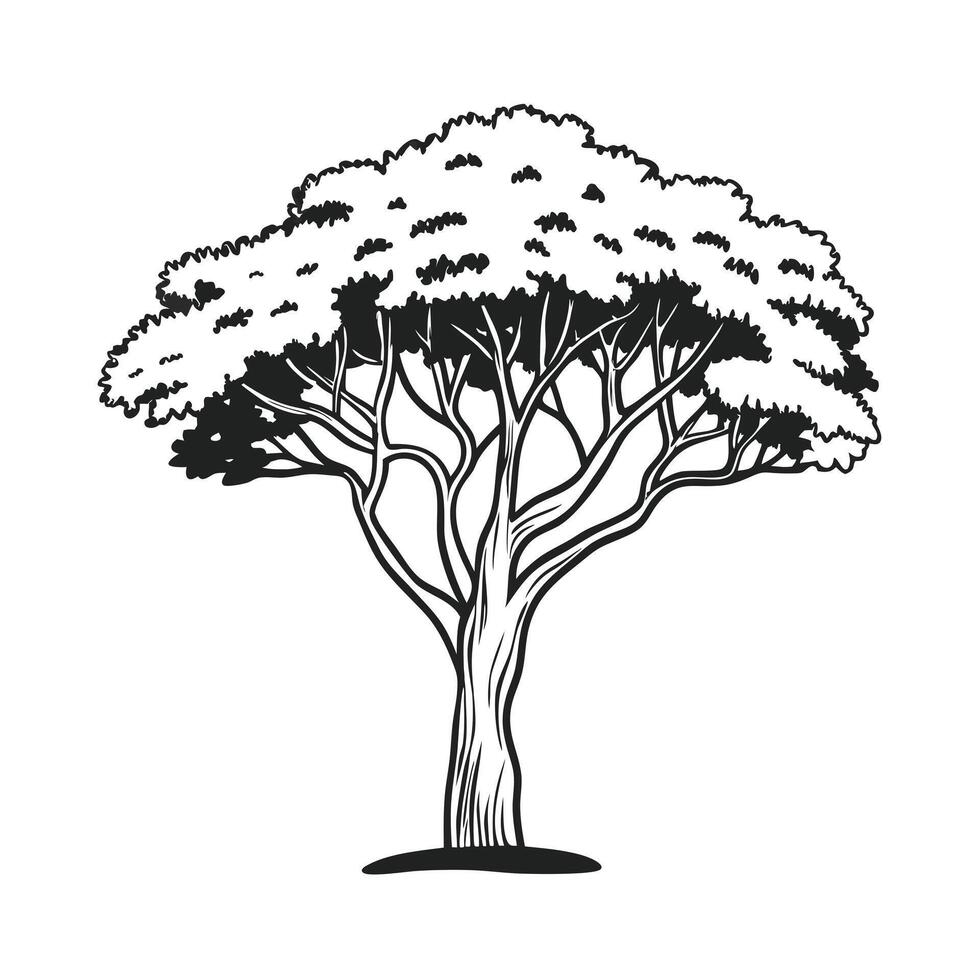 tree icon Black and White simple outline illustration vector