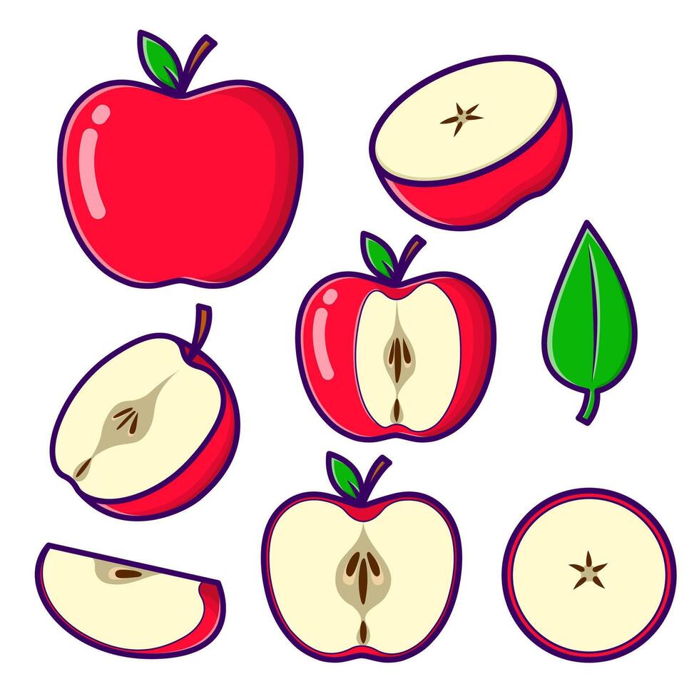 apple set collection vector
