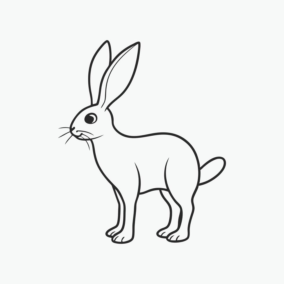 A rabbit is depicted standing in a line drawing. vector