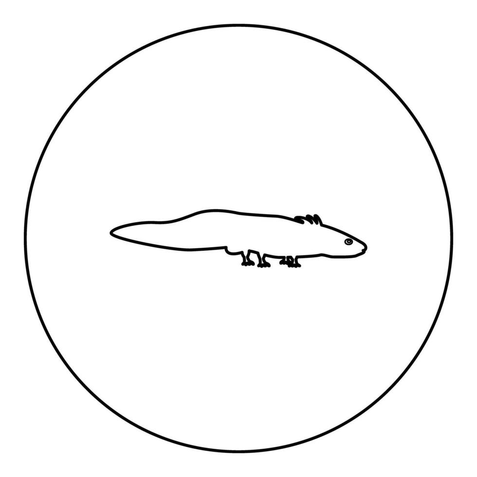 Axolotl ambystoma mexicanum view side icon in circle round black color illustration image outline contour line thin style vector