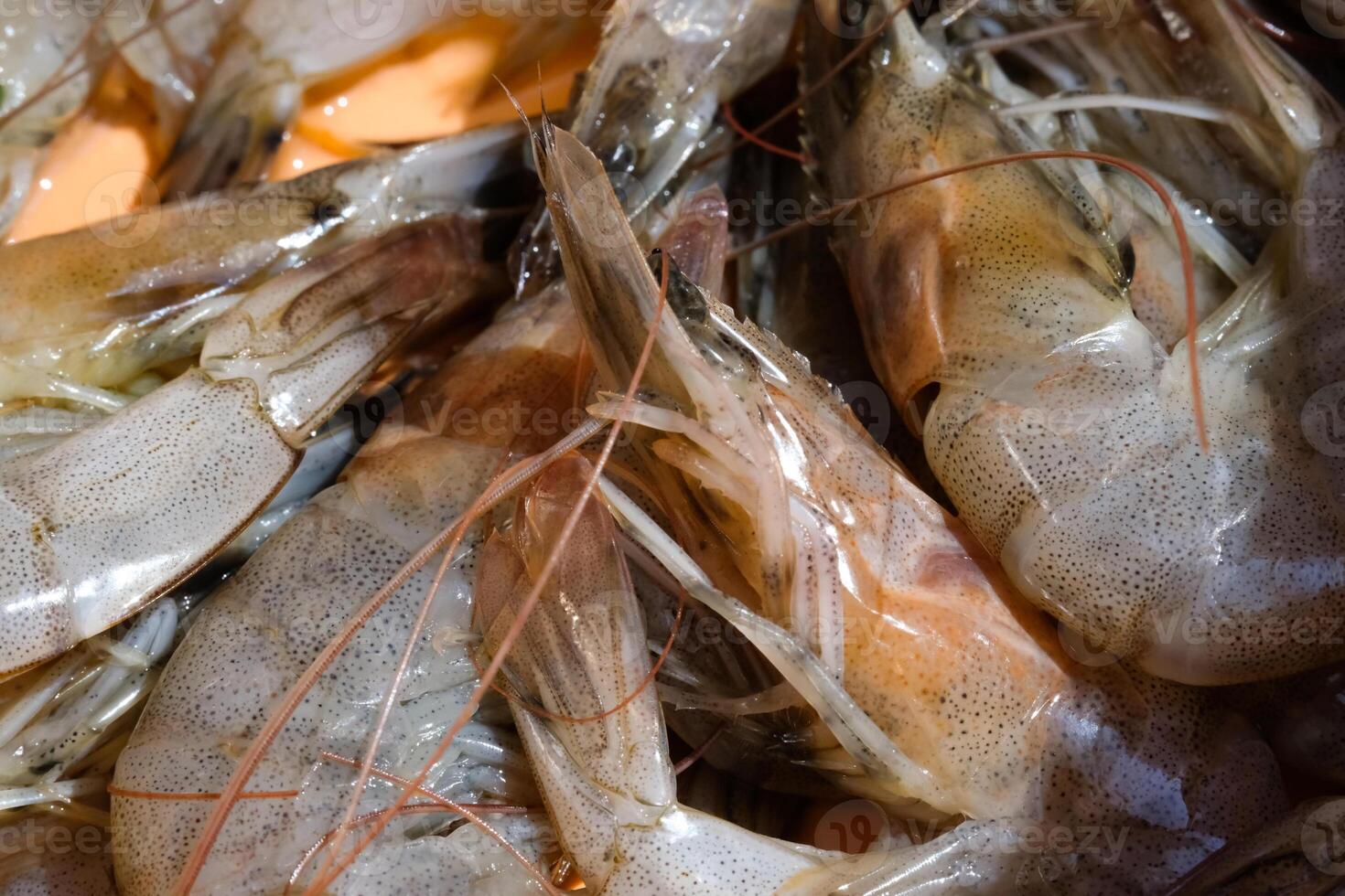 Closeup Frozen Shrimp with Orange Background. Shrimp bought in the market is washed and cleaned in an orange basin. Food Ingredient. Raw Seafood. Textured Backgrounds photo