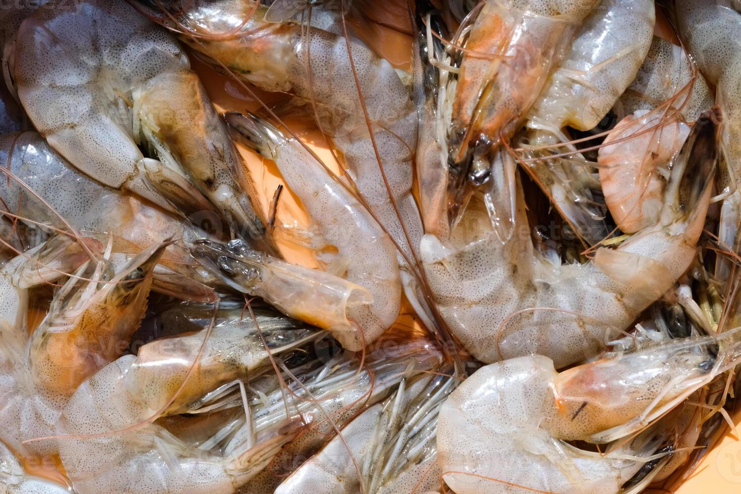 Closeup Frozen Shrimp with Orange Background. Shrimp bought in the market is washed and cleaned in an orange basin. Food Ingredient. Raw Seafood. Textured Backgrounds photo