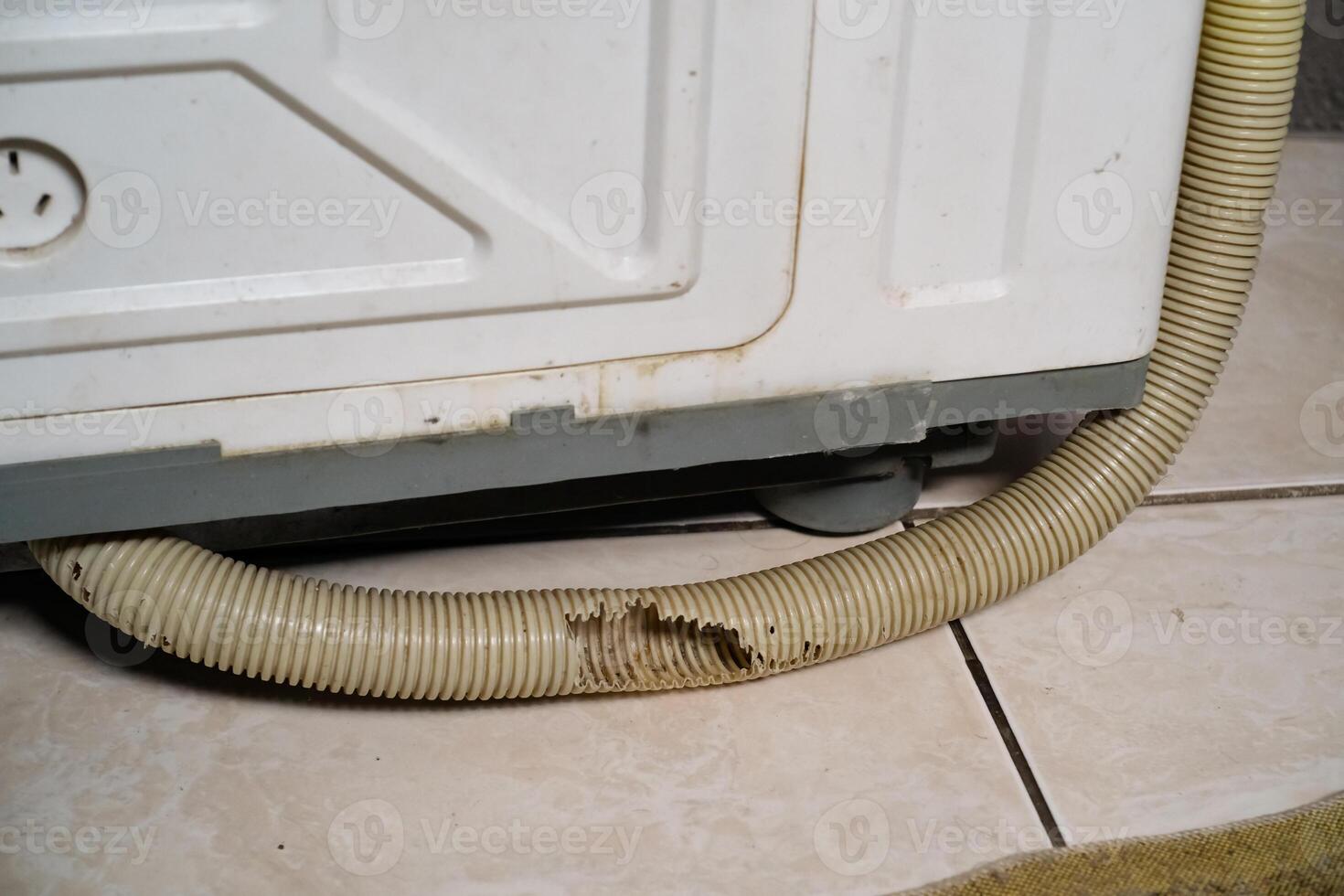 Closeup Washing machine drain pipe is broken and leaking. Pipe is broken due to being bitten by rats. Impact of rats in the house. Pest and disease controls. Rat Extermination photo