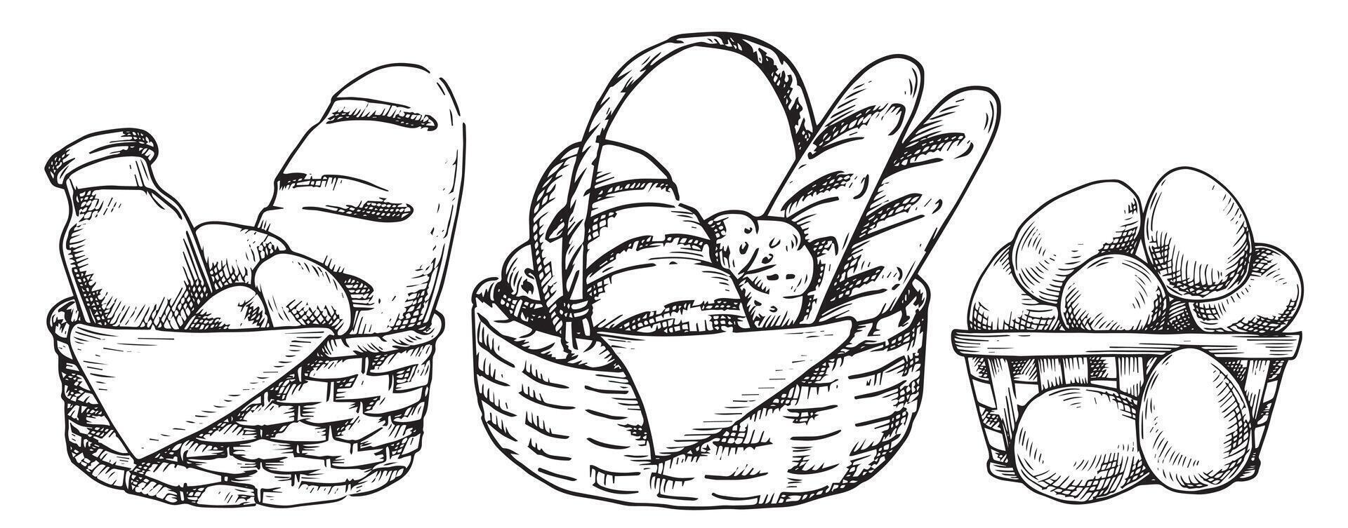 Farm products in baskets, eggs, milk, bread. Sketch style illustration. Vintage vector