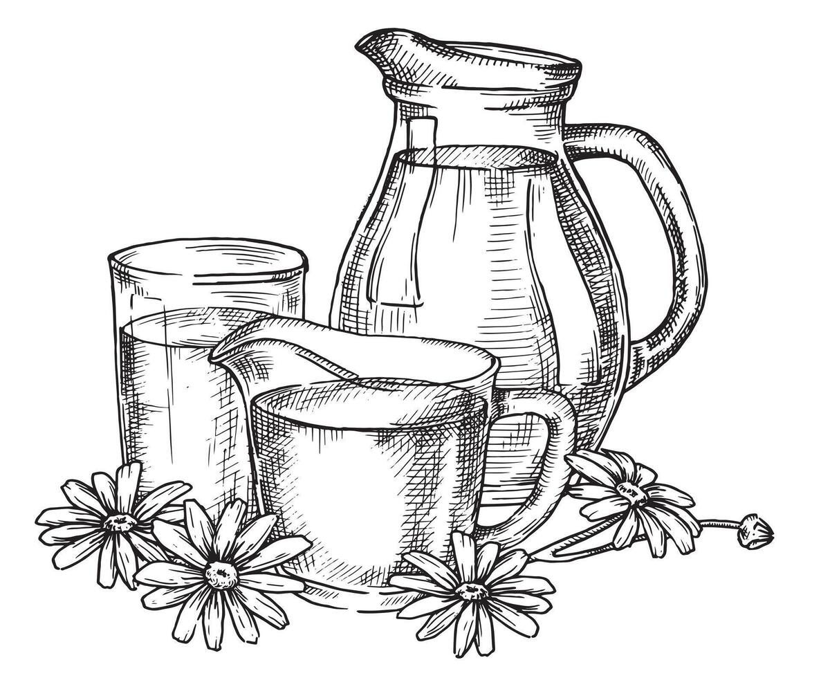 Jugs with a glass of milk. Sketch style illustration of farm products. vector