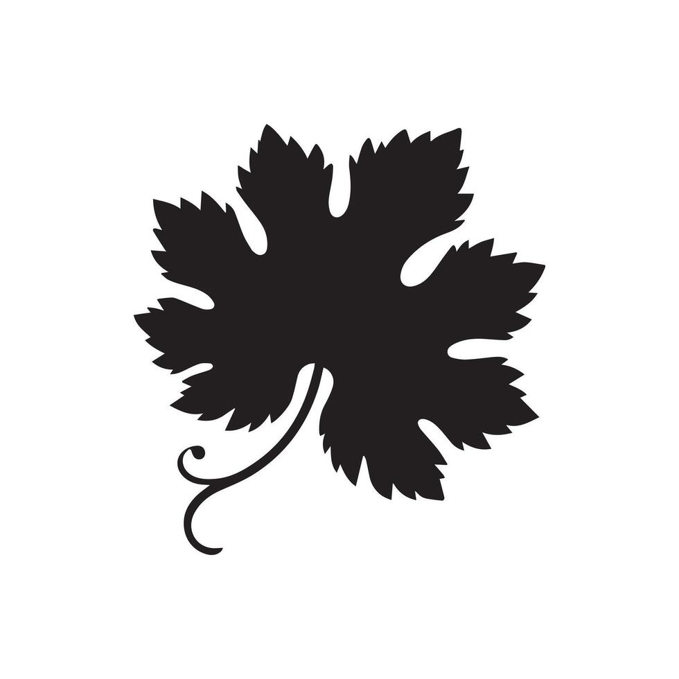 maple leaves in white background vector