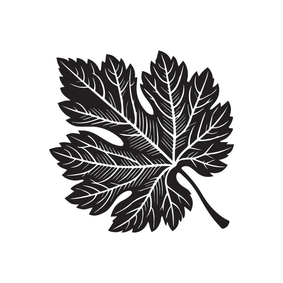 oak twig isolated on white background vector