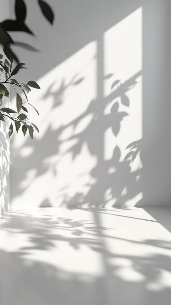 Shadows of leaves creating patterns on a minimalist white wall and floor in a sunlit room photo