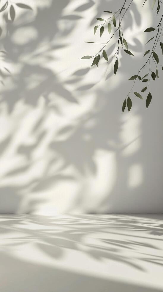 Shadows of leaves creating patterns on a minimalist white wall and floor in a sunlit room photo