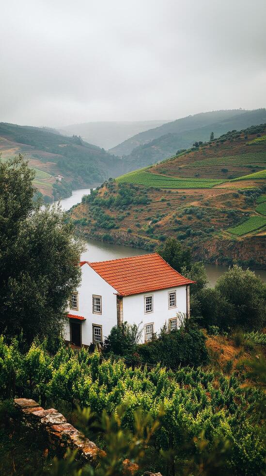 Scenic view of a vineyard house by a tranquil river in a lush valley during overcast weather photo
