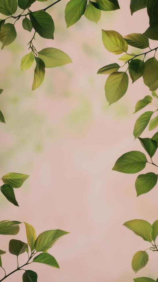 Green leaves frame softly diffused light in a natural setting photo