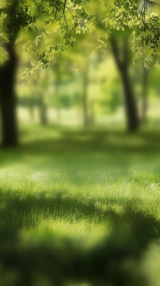 Sunlight filters through lush green trees in a serene park setting during midday photo