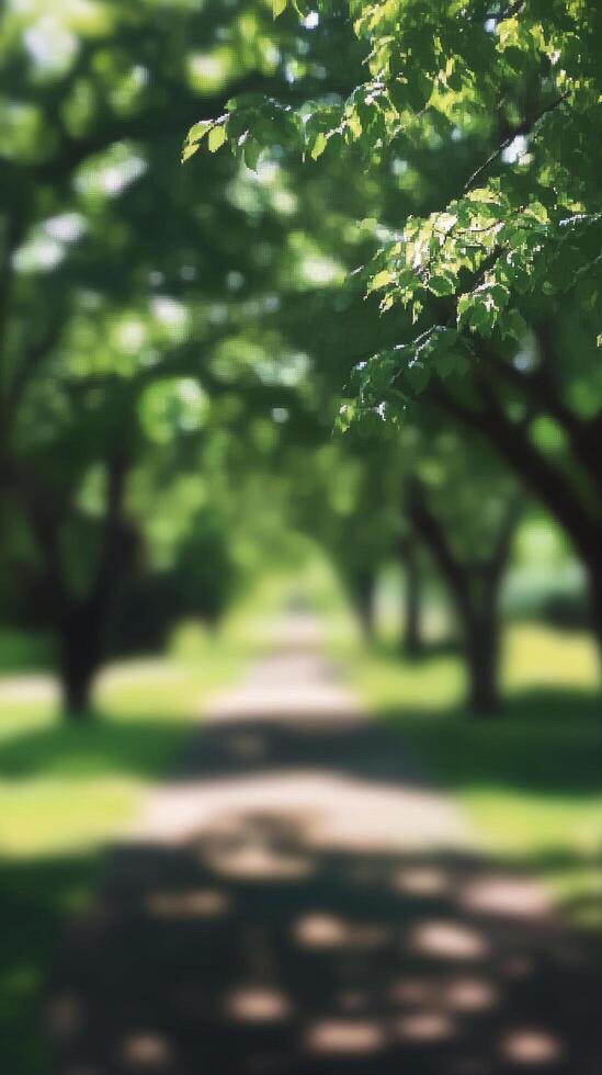 Lush green pathway through a serene park on a bright sunny day photo