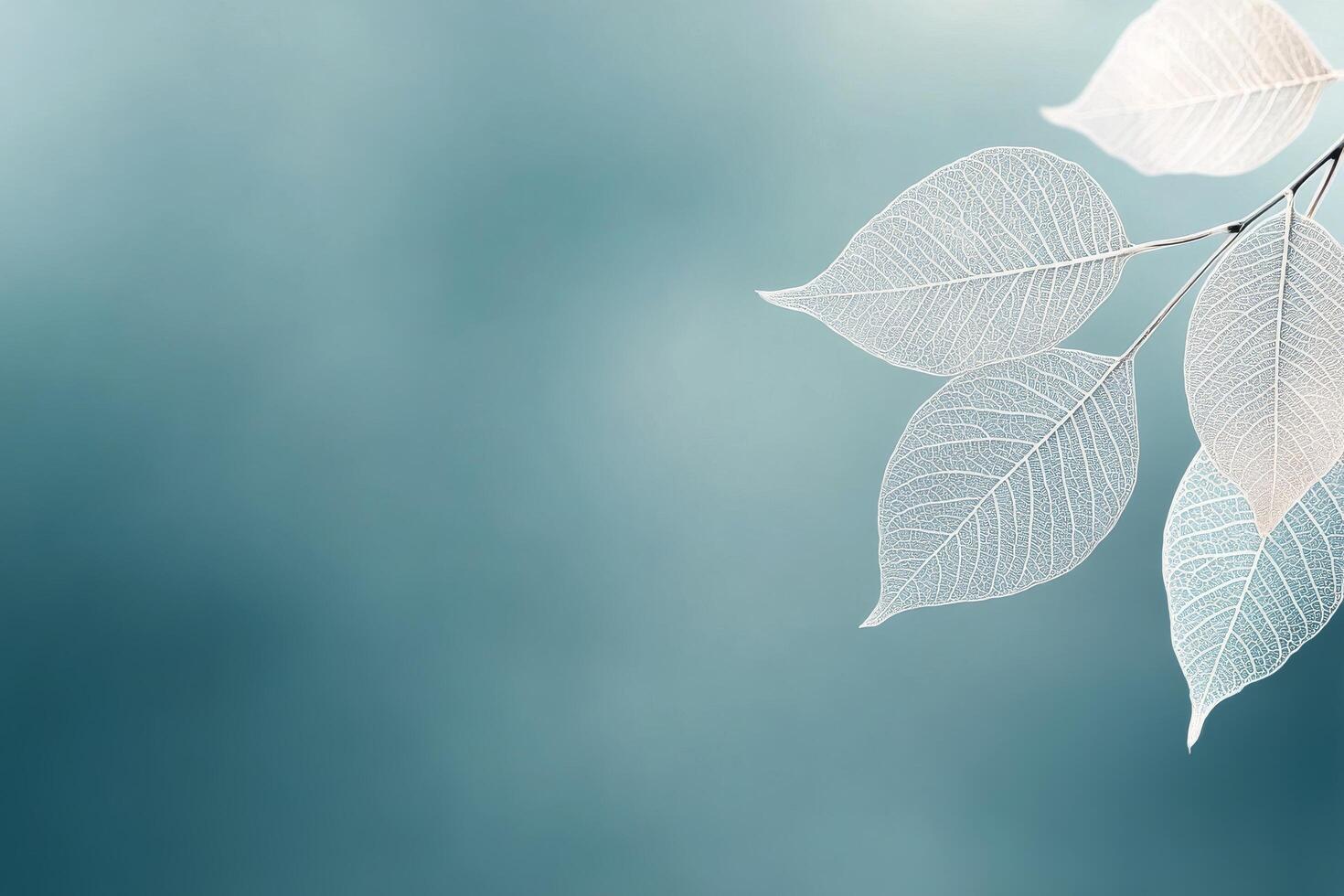 Delicate translucent leaves against a soft blue background in a calm environment photo
