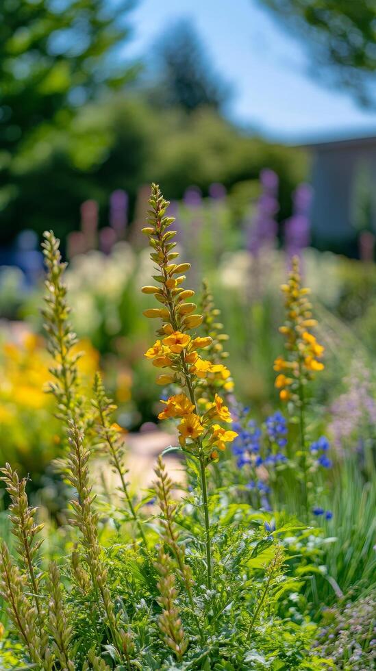 Bright yellow flowers bloom in a vibrant garden during a sunny afternoon photo