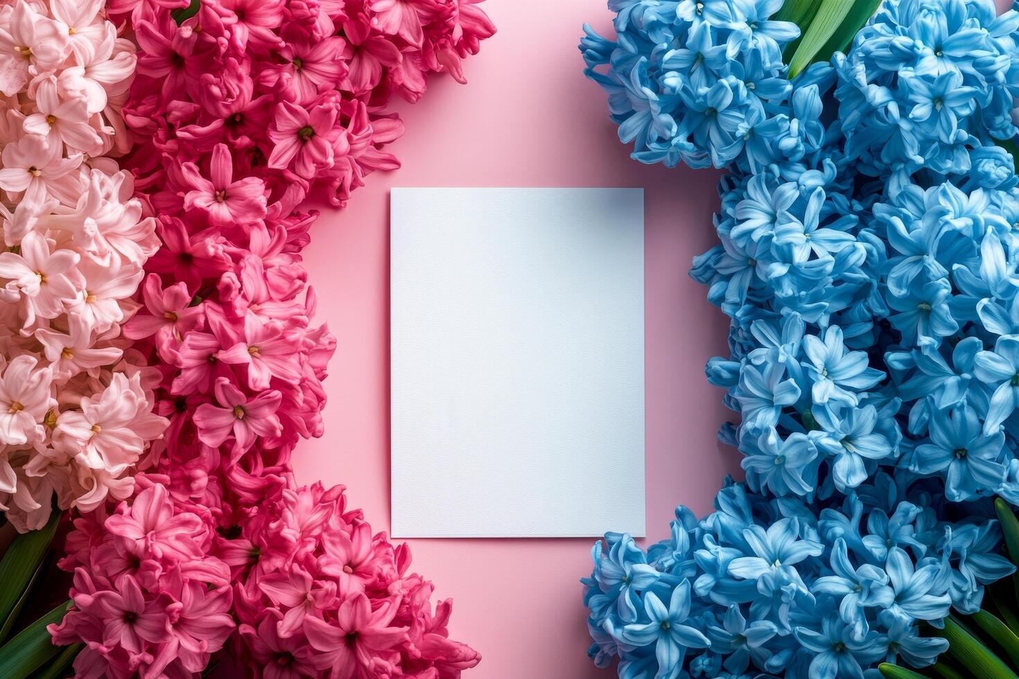 Colorful flowers arranged with blank card on pastel background for creative projects photo
