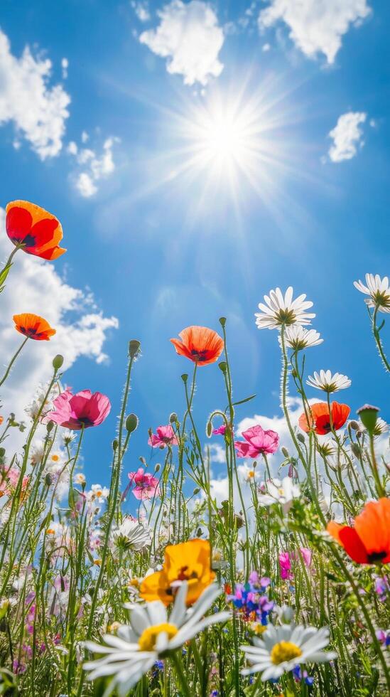 Bright flowers bloom under a sunny sky on a clear day in spring photo