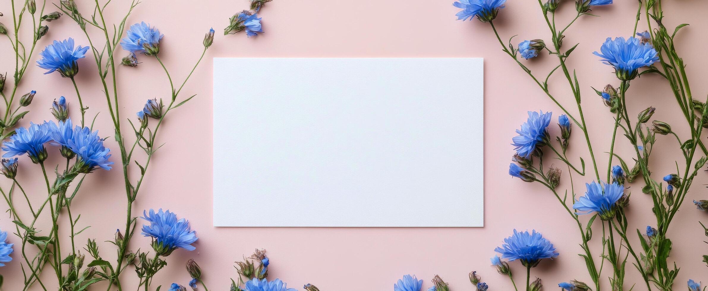 Beautiful blue flowers surrounding a blank card on a soft pink background photo