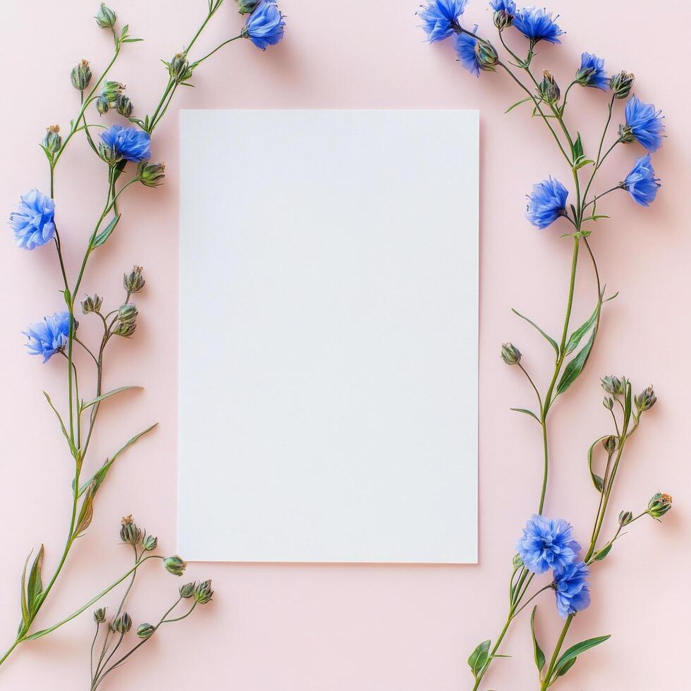 Beautiful spring flowers frame a blank card on a pink background for creative projects photo
