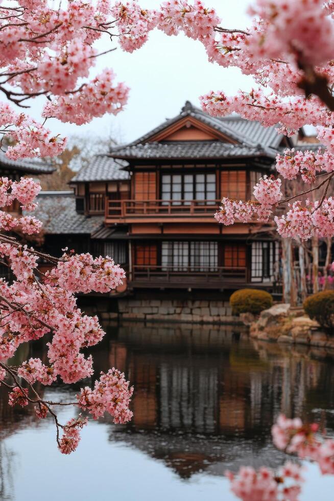 Cherry blossoms frame a tranquil pavilion by the lake in springtime photo