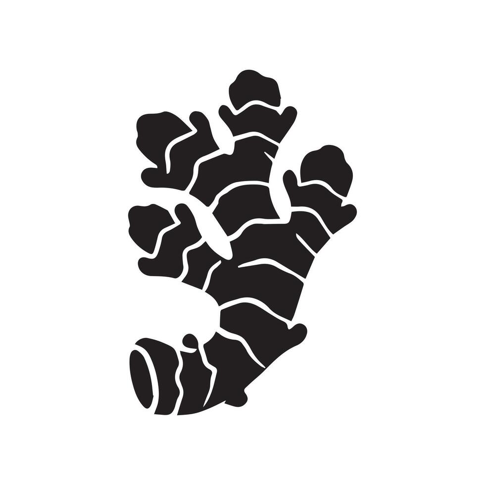 Ginger silhouette, spice Illustration silhouette vector