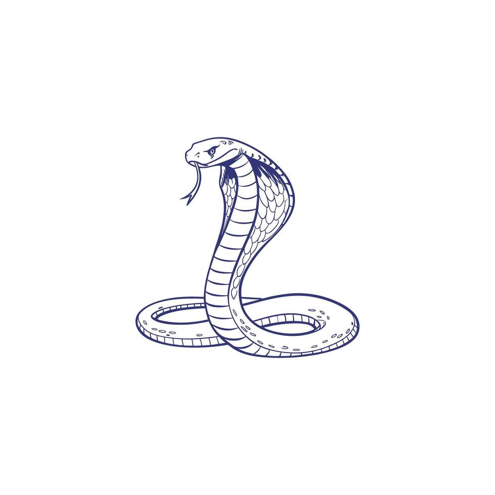 A cobra is drawn in a line drawing vector