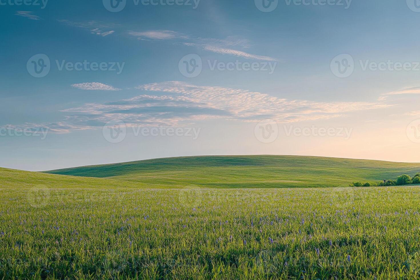 A field with a large grassy area and a sky photo
