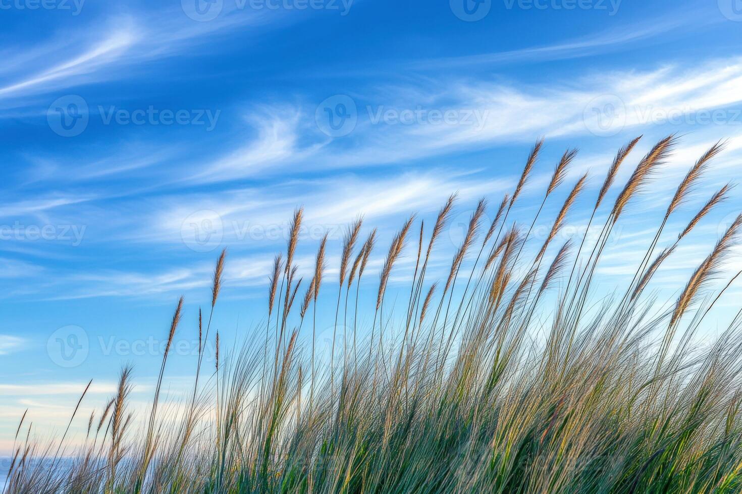 A blue sky with clouds photo