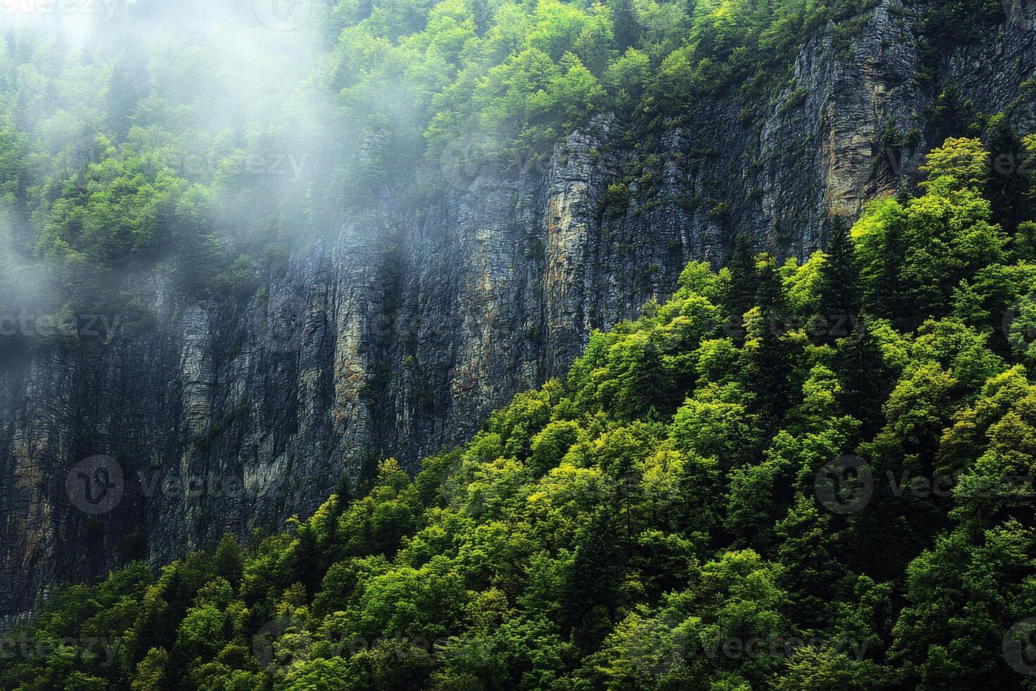 A mountain with trees and fog in the background photo