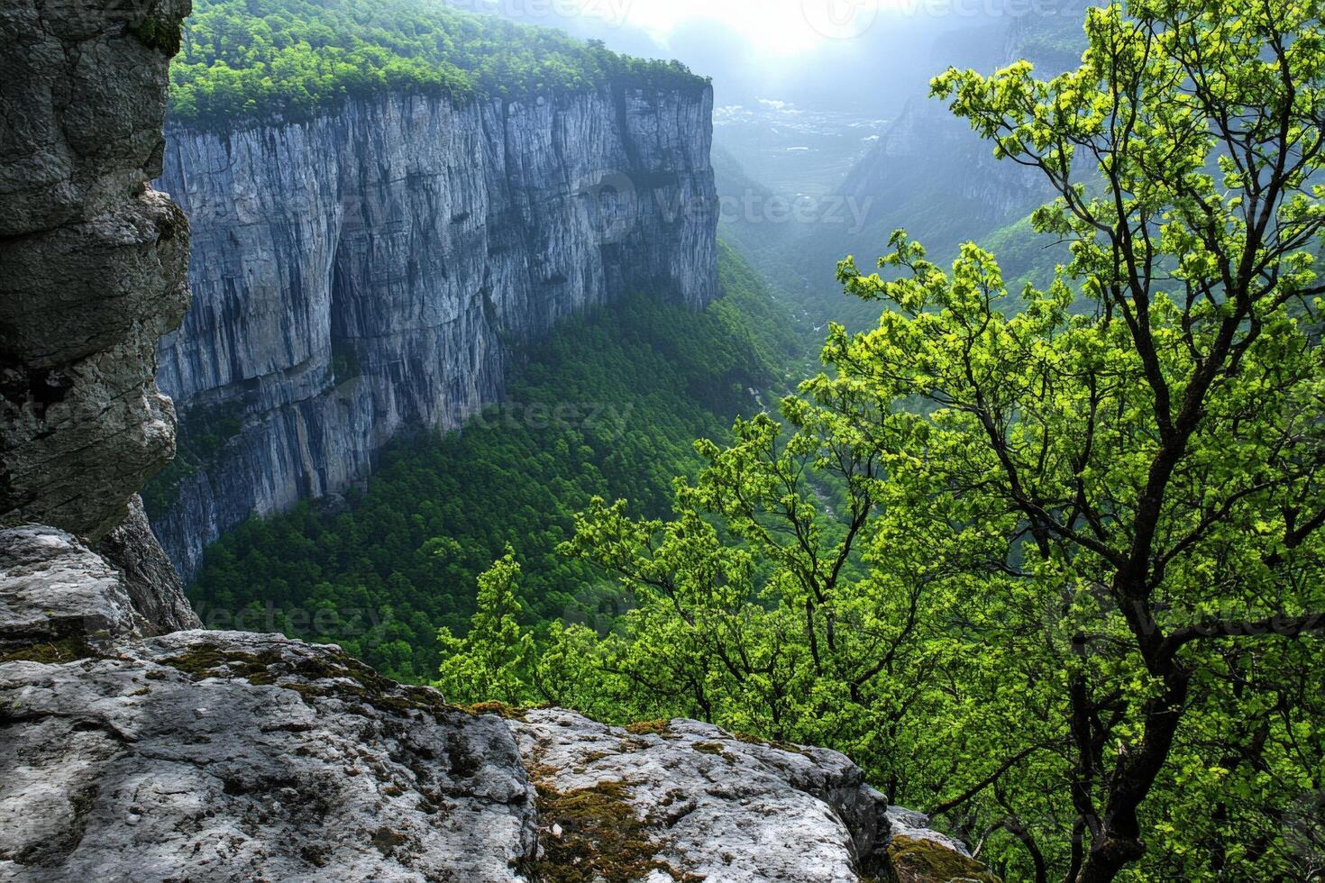 A view of the canyon from the top of a cliff photo