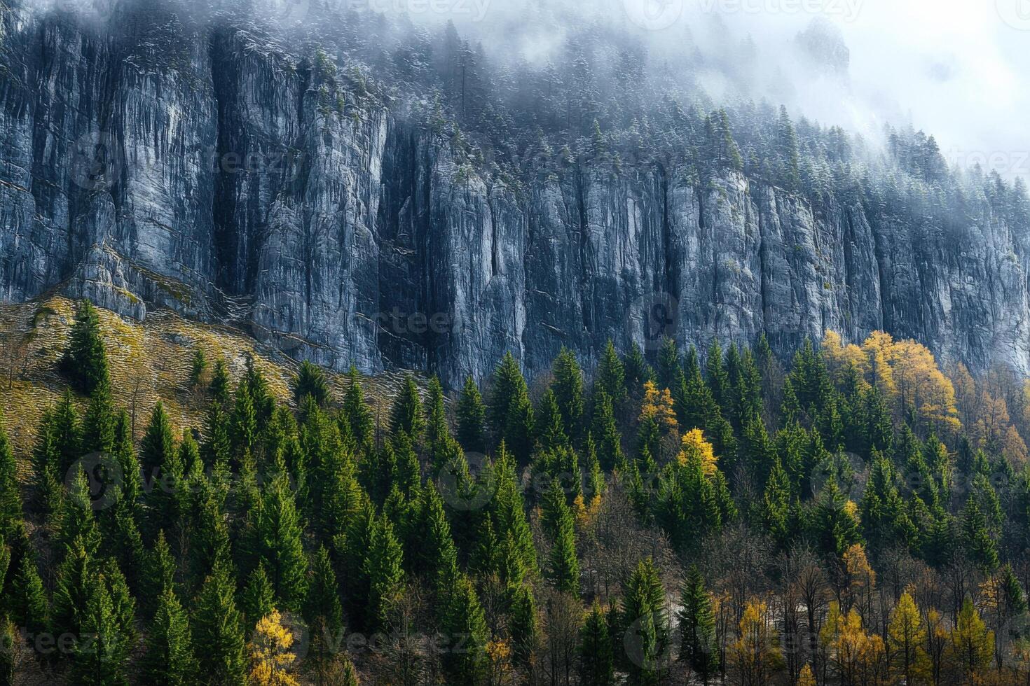 A mountain with trees and fog in the background photo
