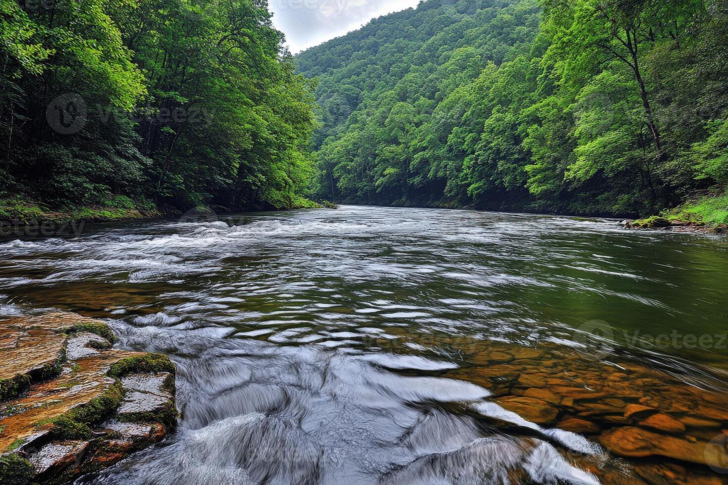 A river flowing through a forest with rocks and trees photo