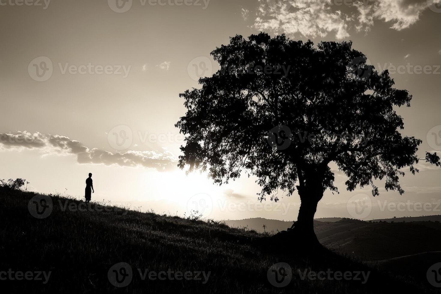 A man stands under a tree at sunset photo