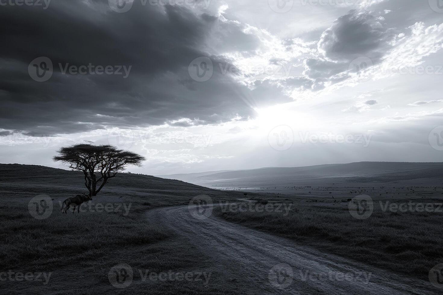A lone tree stands in the middle of a field photo