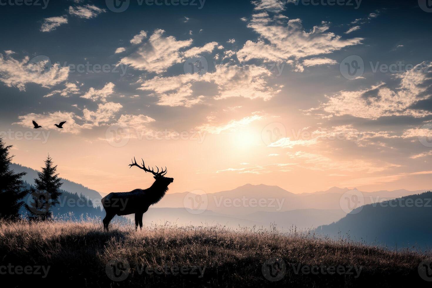 A deer stands on a hill with a sunset in the background photo