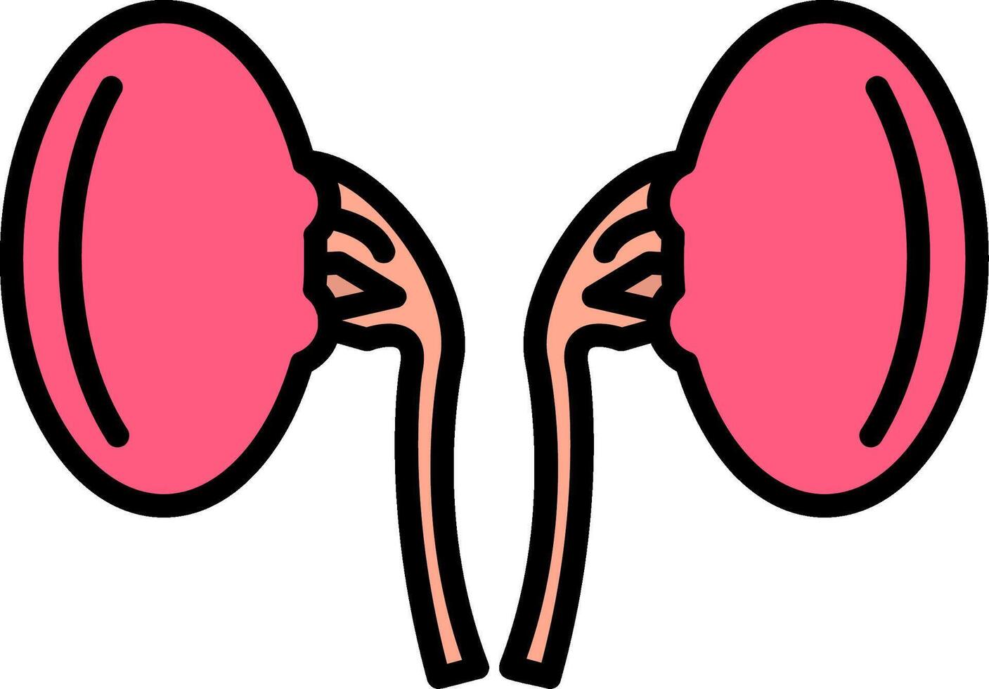 Kidneys Line Filled Icon vector