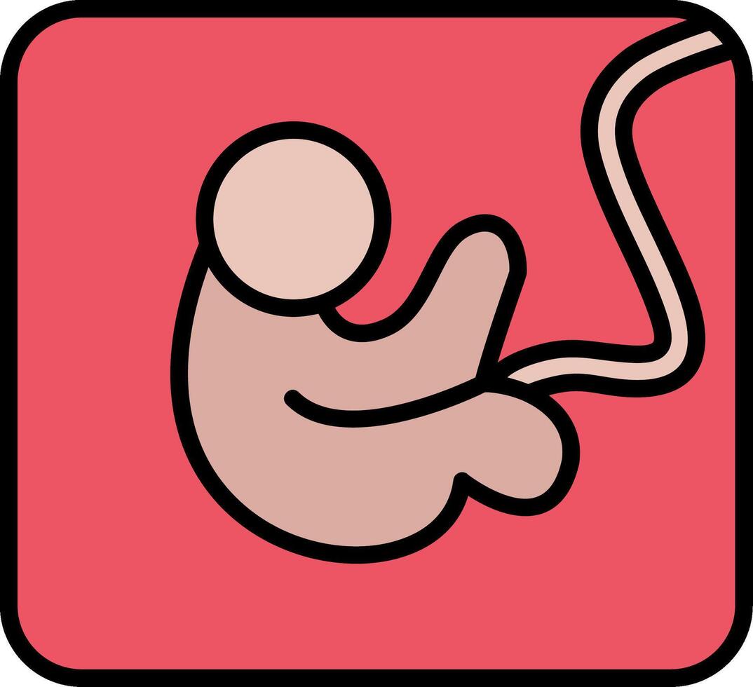 Fetus Line Filled Icon vector