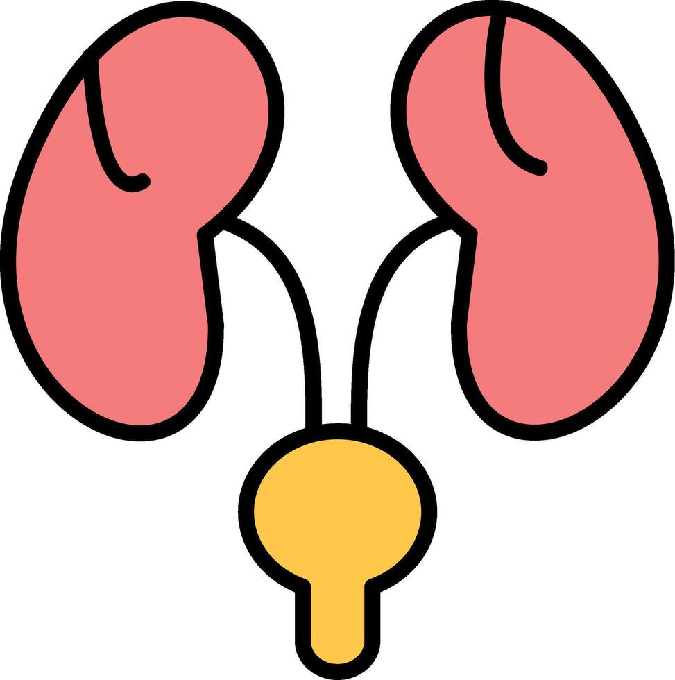 Bladder Line Filled Icon vector