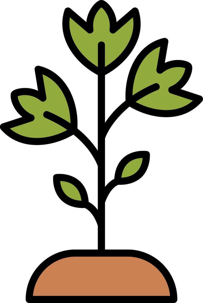 Parsley Line Filled Icon vector