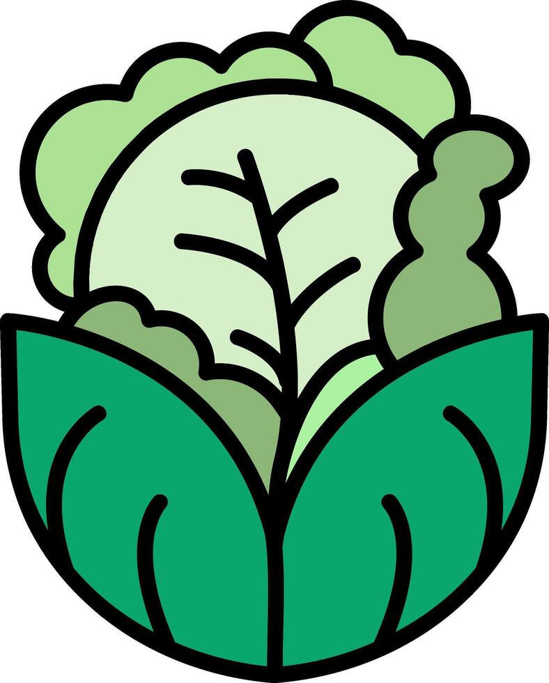 Cabbage Line Filled Icon vector