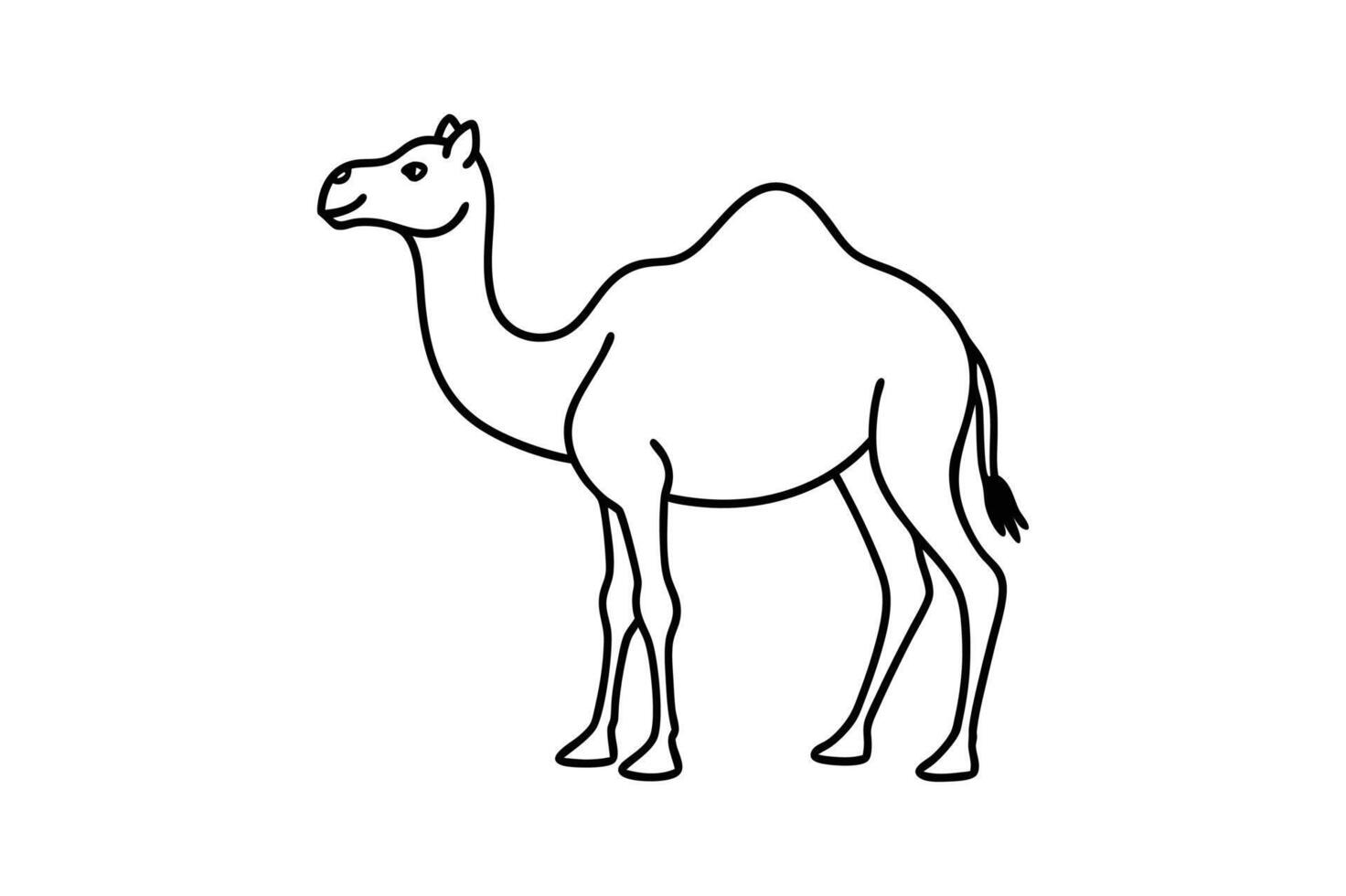Cute black and white outline drawing of a camel. vector