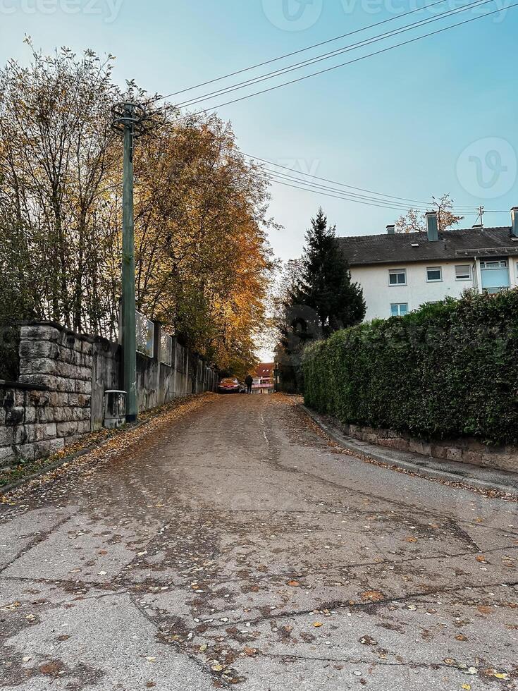 A street with a house on the right and a tree on the left photo