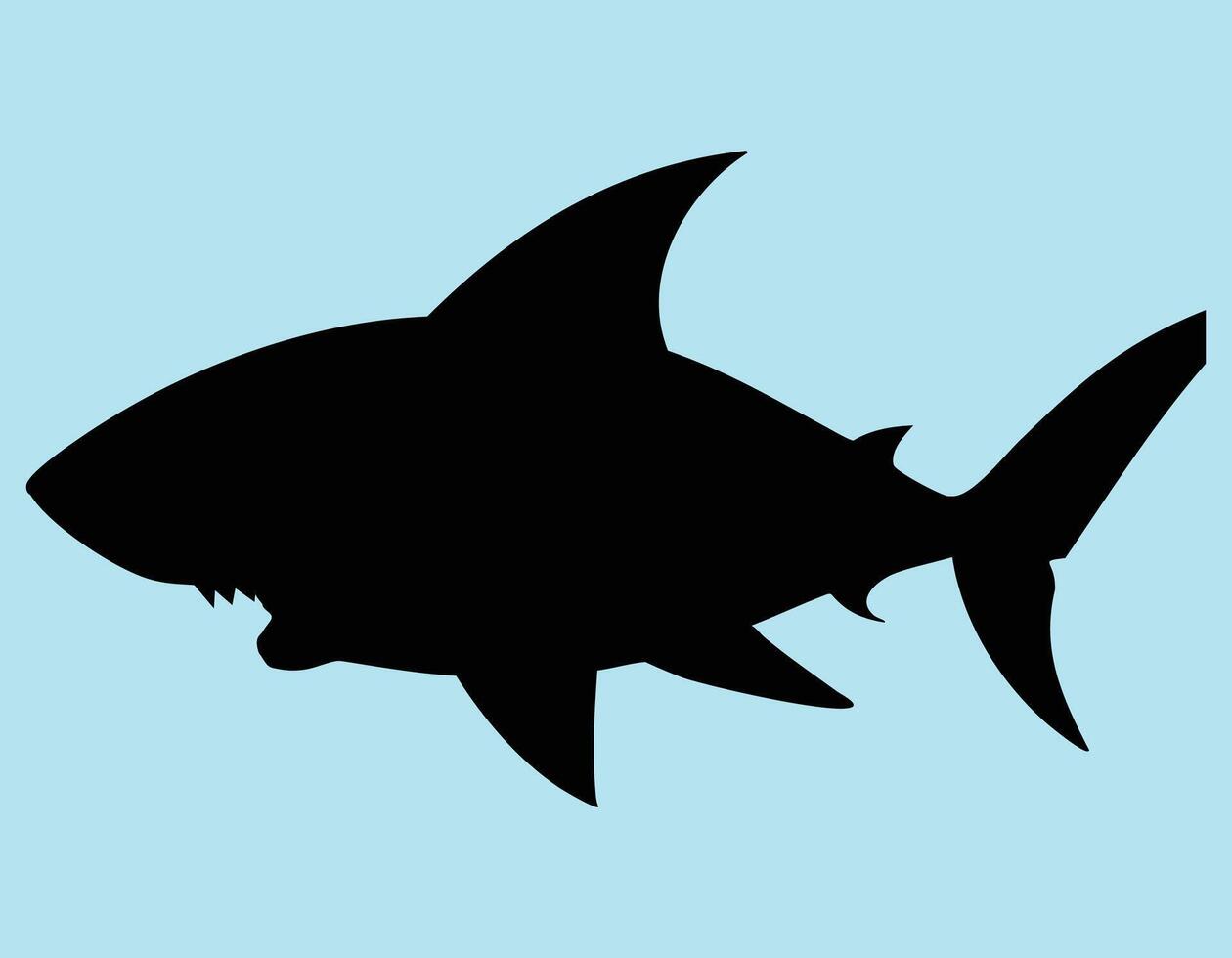 shark silhouette . vector