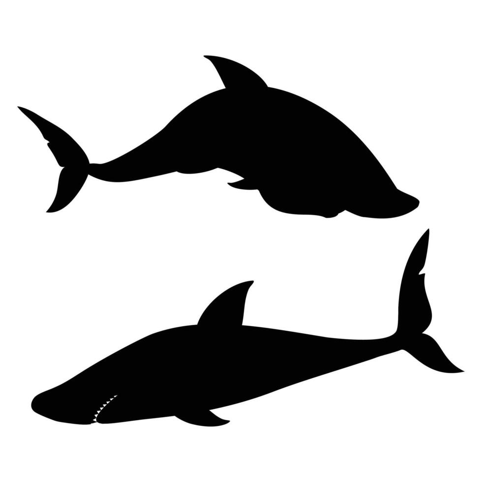 Shark Silhouette on a White Background vector