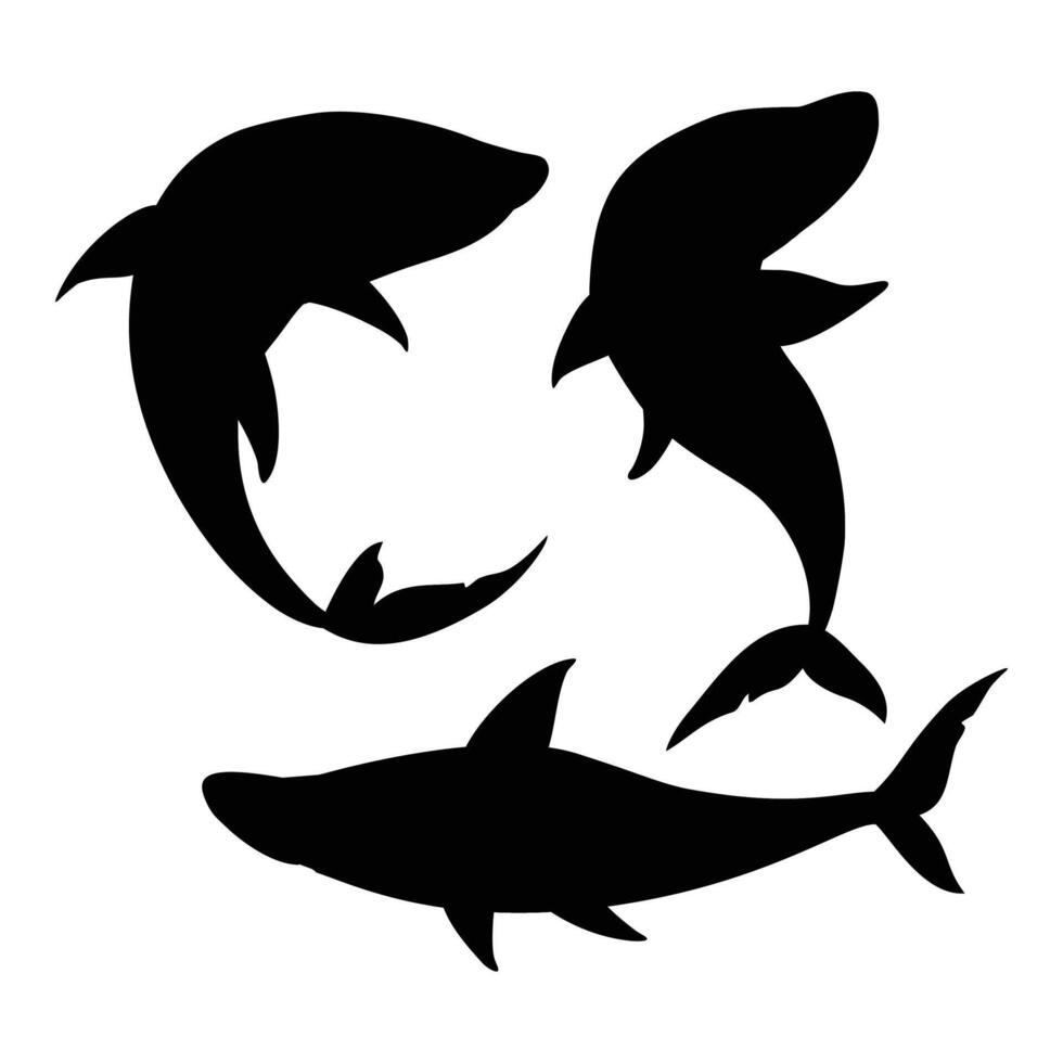 Shark Silhouette on a White Background vector