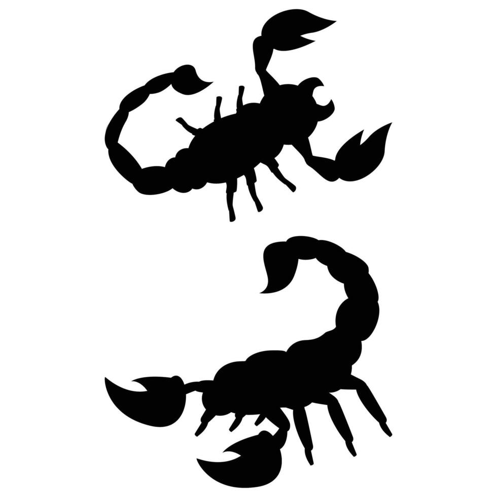 Scorpion Silhouette on a white Background vector